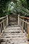 The path is damaged in the forest Mangrove palm