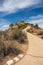 a path in the desert leading to a small hill, with shrubs and bushes surrounding