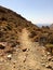 Path direction in the mountains, mountains road, mountains path, direction on dirty mountains road, wild road, dirty road in the