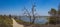 Path Down to California Wetlands