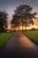 A path at dusk in Ravenhill park