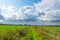 Path between dutch landscapes in the polder