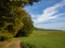 Path on the edge of the forest next to fields