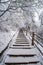 Path in the Emei Mountain in winter