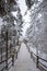 Path in the Emei Mountain in winter