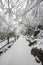 Path in the Emei Mountain in winter