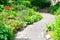 Path in an English cottage garden