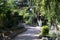 a path equipped for tourists into the forest thickets near the sea. southern climate