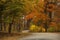 A path through the fall colors at the Morton Arboretum in Lisle, Illinois.