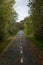 Path in the fall with leaves on the asphalt and trees to both sides