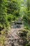 Path on the famous hiking trail Eifelsteig, part of the western german uplands. Green trees and moss blossoming beside the way at