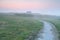 Path on farmland during foggy sunrise