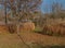 Path through field of feather grass