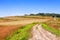 Path,fields and sky