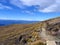 Path In Fiordland National Park, New Zealand