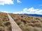 Path In Fiordland National Park, New Zealand