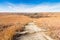 Path Through A Flint Hills Prairie