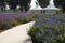 The path, flowers, awning white, lavender and lemon verbena