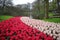 Path of flowers, pink and raspberry tulips near the lake, green lawn, royal flower park, Keukenhof park, the Netherlands.