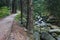 Path In The Forest Along Lomnica River In Karpacz