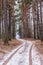 Path in the forest at the beginning of winter. The first snow on the road in the frozen forest