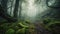 a path in a forest covered in green mossy rocks