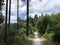 Path through the forest of Drents-Friese Wold