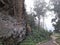 path in the forest full of trees and boulders on the side of the road.