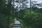 Path in forest in Mingyue Mountain, Jiangxi, China