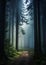 The Path in the Forest: Tall Trees, Moss, and Night