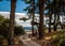 Path in forest to beautiful beach, Brittany, France