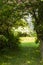 Path in the forest among the trees. Door to the secret garden