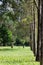 A path framed by trees