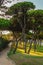 A path full of trees in the way to the beach in Punta Umbria, Huelva,Spain