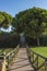 A path full of trees in the way to the beach in Punta Umbria, Huelva,Spain