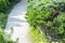 Path in the garden, decorated with coniferous trees. Walking path, landscaping parks and gardens