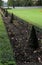 The path in the garden paved with the green bush cones.