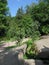 The path goes to a thick green forest thicket with huge boulders lying on the roadside with a prominent blue sky above