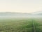 Path going through the misty green field