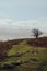 Path going up the hill in Mendip Hills, UK, on a sunny autumn day