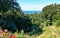 Path on the gorge with a view over the trees to the Baltic Sea. Lohme on the island of RÃ¼gen