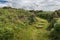 A Path through the Gorse at Botallack Cornwall