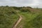 Path through the Gorse near Portreath, Cornwall UK