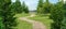 Path in the grass field with pine trees. 3D rendering