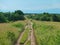 a path in the grassland