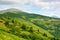 path through grassy alpine mountain meadow