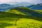 Path through grassy meadow on hillside