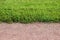 A path of gravel and a lawn of clipped green grass in the Gatchina Park.