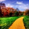 Path in a green park in london 