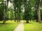 Path in green summer park